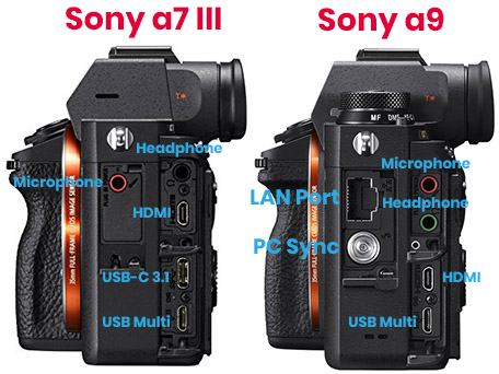 Sony a7 vs Sony Review [FULL SPEC