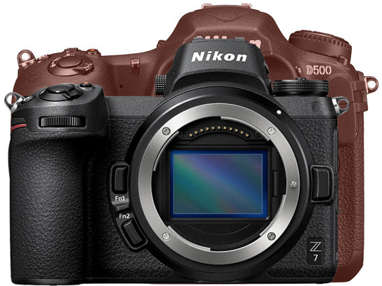 Nikon z7 Mirrorless camera no dual card slot size vs Nikon d500